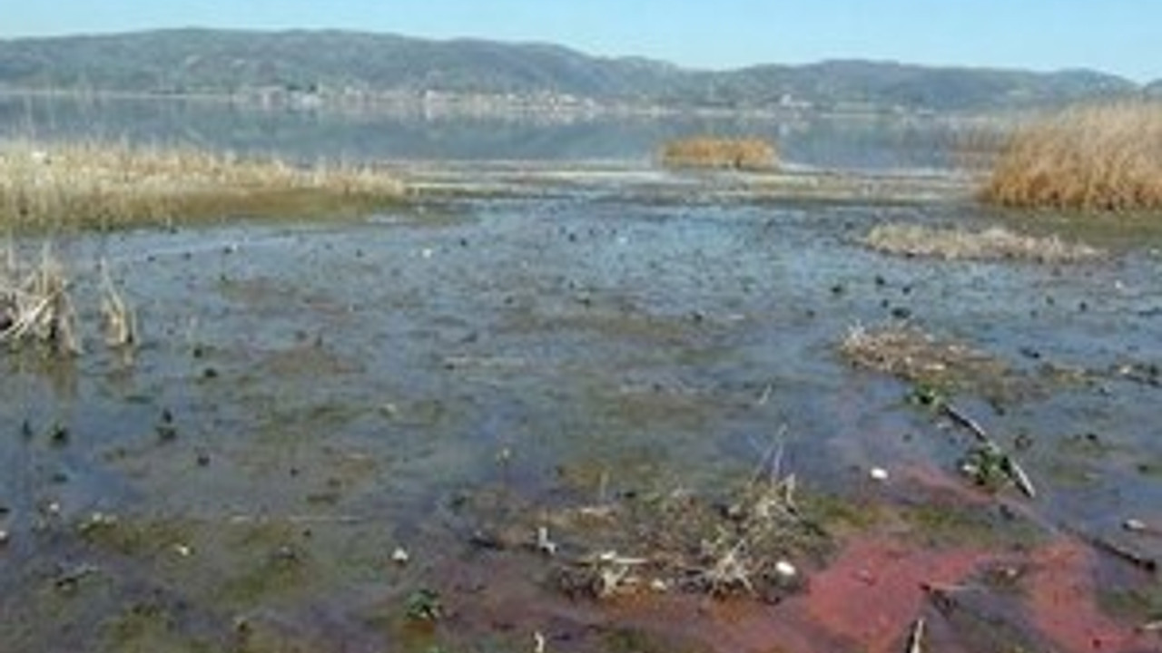 Sapanca Gölü�nün son hali korkuttu