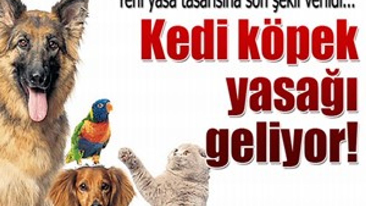 kediköpek satışı yasak!