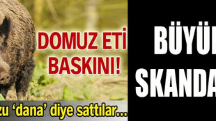 Domuzu dana diye sattılar!..