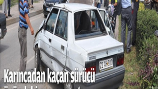 Karınca ile gelen trafik kazası!..