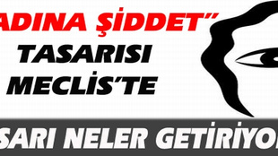 Kadına yönelik şiddet Meclis'te