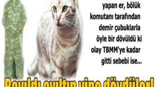 Kışlada askere kedi dayağı