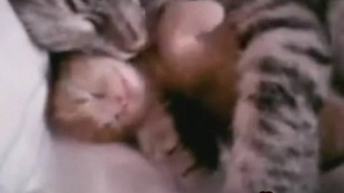 Anne kedi yavrusuna böyle sarıldı!.