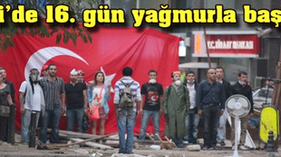 Gezi'de 16. gün sessiz başladı