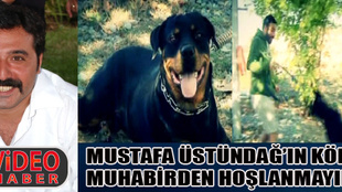 Muro'nun köpeği!..