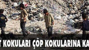 Halep'te çöp kokuları ceset kokularına karışıyor