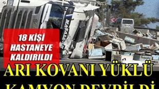 Arı kovanı yüklü kamyon devrildi!