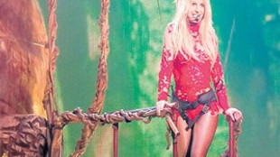 Britney Spears ağaçta mahsur kaldı!..