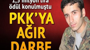 PKK Tunceli sorumlusu öldürüldü