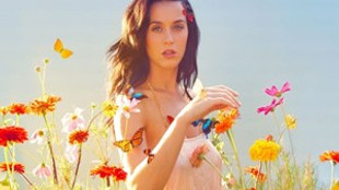 Katy Perry 'korsanların' mağduru oldu