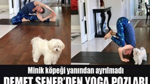 Demet Şener'den yoga pozları