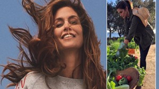 Cindy Crawford'un organik dünyası