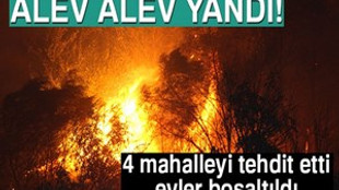 Manavgat'ta orman yangını!