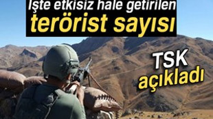 TSK: "3 bin 291 terörist etkisiz hâle getirildi"
