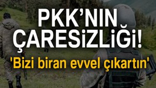 Süper Kobraları duyan PKK’lılar telsizde yalvardı