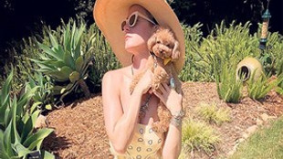 Katy Perry'nin köpeği sosyal medyanın maskotu oldu