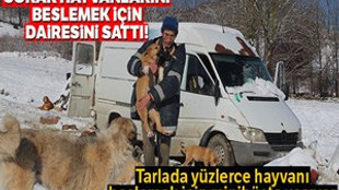Sokak hayvanlarını beslemek için İstanbul’daki dairesini sattı
