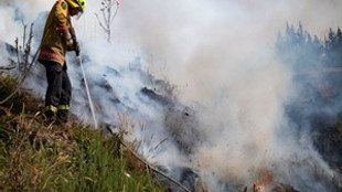 Yeni Zelanda’da orman yangınları söndürülemiyor