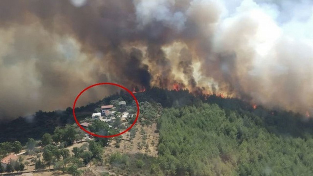 Bodrum'da çıkan orman yangınında alevler köylere ulaştı