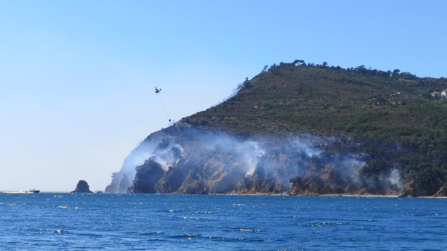 Burgazada'da ormanlık alanda yangın!