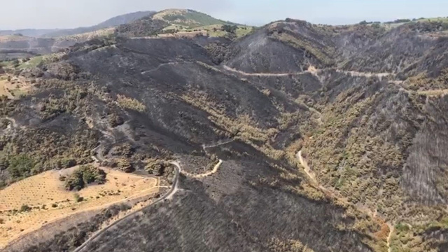 İzmir’in yeşil alanlarından üzücü görüntü