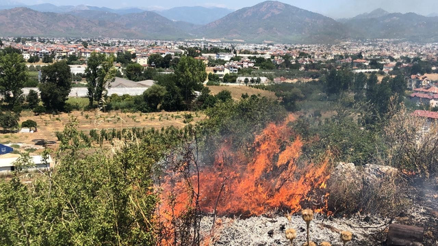 Fethiye’de makilik alanda yangın çıktı!