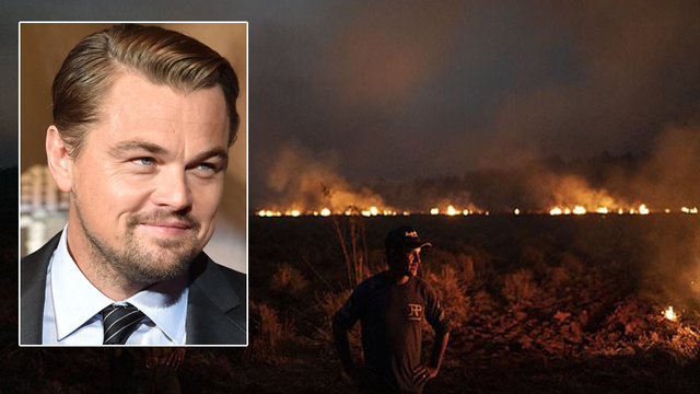 Leonardo DiCaprio’dan Amazonlar’a 5 milyon dolar bağış