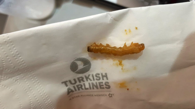 THY "tırtıllı yemek" rezaleti için ne söyledi?