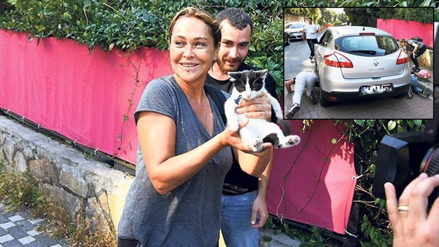 Hülya Avşar'ın yavru kedi paniği