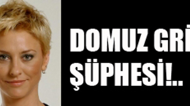 'DOMUZ GRİBİ' DEĞİLİM