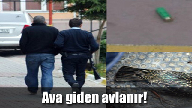 Maltepe sahilinde kuş avlamaya çıktı!