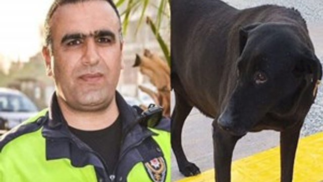 Zeytin'in gözü hâlâ yolda
