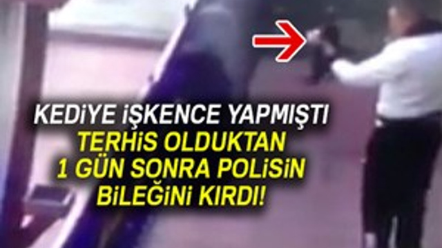 Kediye işkence yapan asker bu kez de polisin bileğini kırdı