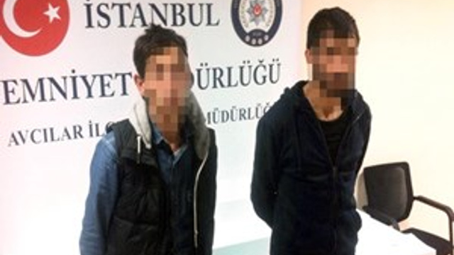 Bonzai müptelaları suça batıyor!