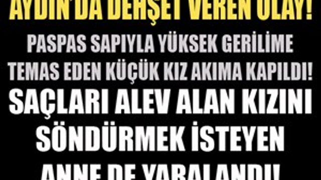 Aydın'da dehşet veren olay!