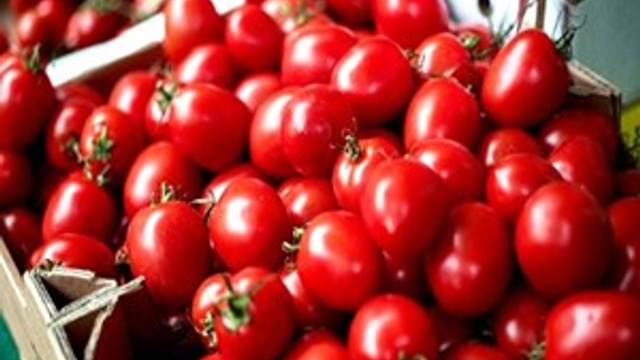 Domatesten ilaca milli damgası