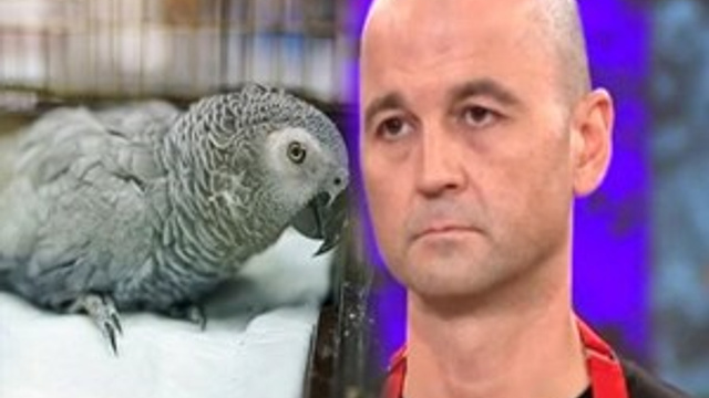 Murat Özdemir’in işkence uyguladığı papağan öldü!