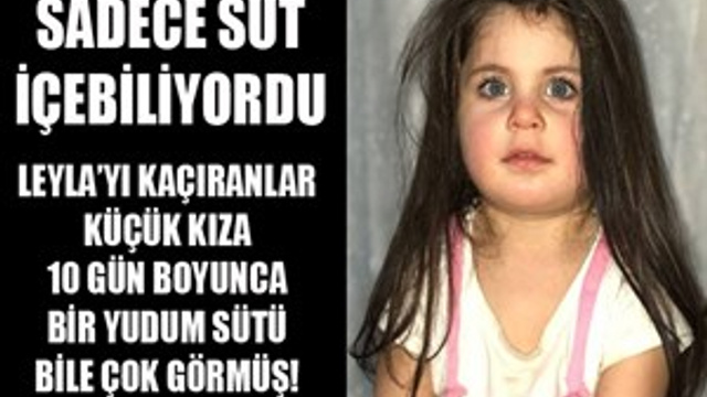 Ağrı Cumhuriyet Başsavcılığından Leyla Aydemir açıklaması