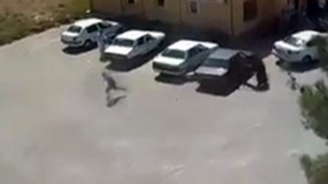 Şanlıurfa’da 'kan davası' cinayeti