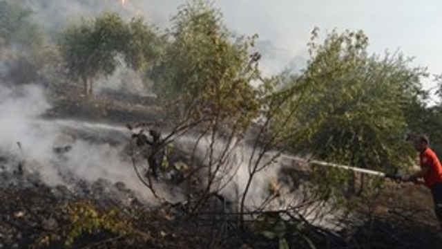 Tarihi Kozan Kalesi’nde orman yangını