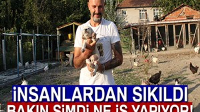 İnsanlardan sıkıldı hobi çiftliği kurdu
