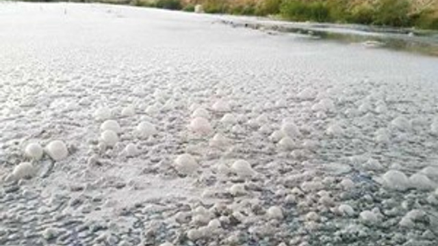 İzmir’de hayatı zindan eden ‘koku’