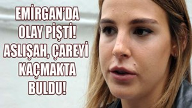 Aslışah Alkoçlar'ı kaçıran pişti!