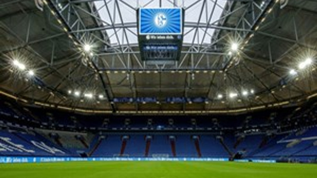 Schalke'de Aslan paniği