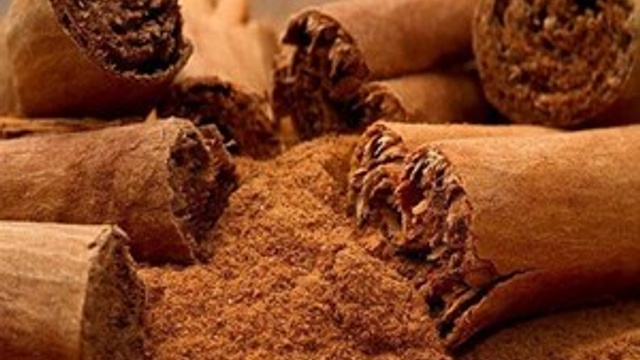 Tarçın açlık krizini bastırıyor!