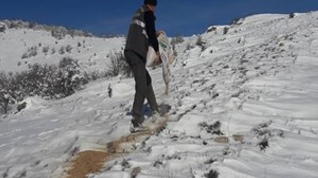 Elazığ'da yaban hayvanları için 2 ton yem bırakıldı