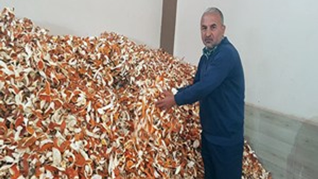 Portakalın kilosu 1 lira kabuğu 6 lira
