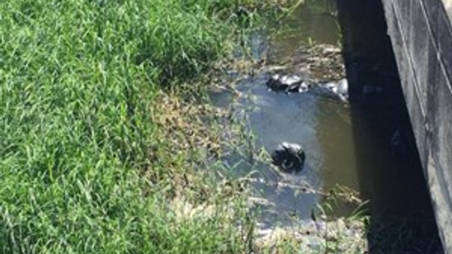 Siyah poşetler içinde 19 ceset bulundu!