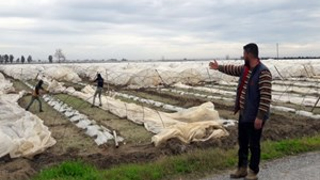 Tarsus'ta hortum seraları vurdu