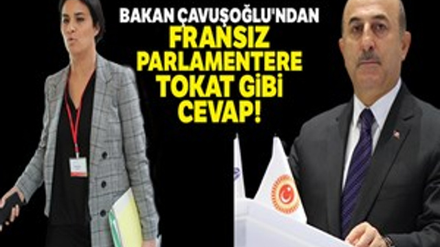Bakan Çavuşoğlu'ndan, Fransız parlamentere tokat gibi cevap!